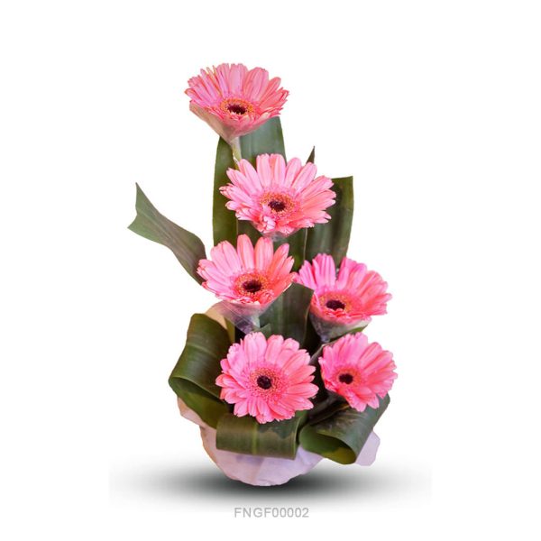 Pink Gerbera Bouquet 