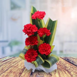 Ruby Red Carnation Elegance