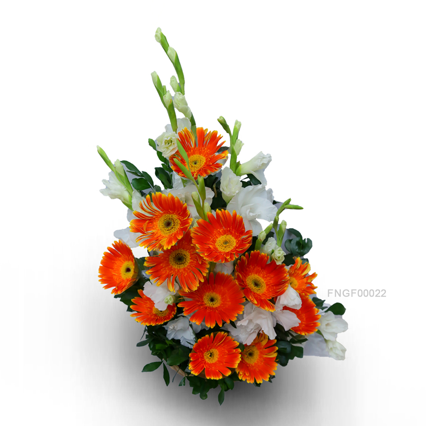 Glorious Gerbera Symphony