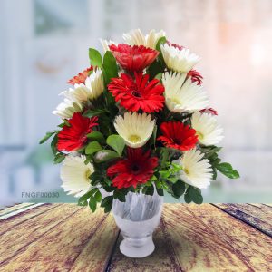 Harmony in Red & White Gerbera