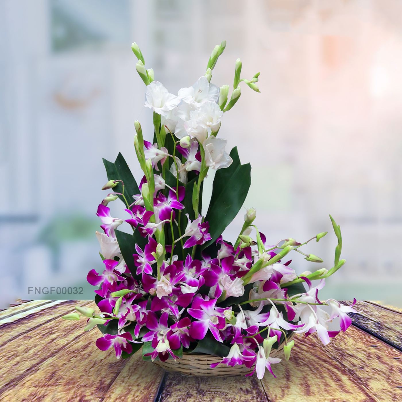 Orchid Glory Elegance