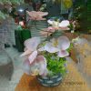 Eternal Blooms
